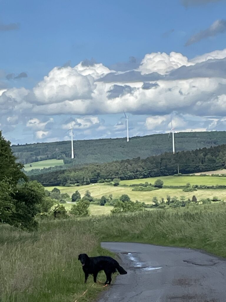 Wanderung zu den Windvorrangflächen in Freigericht