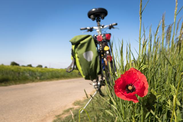 B276 – Fuß- und Radverkehr sicherer gestalten